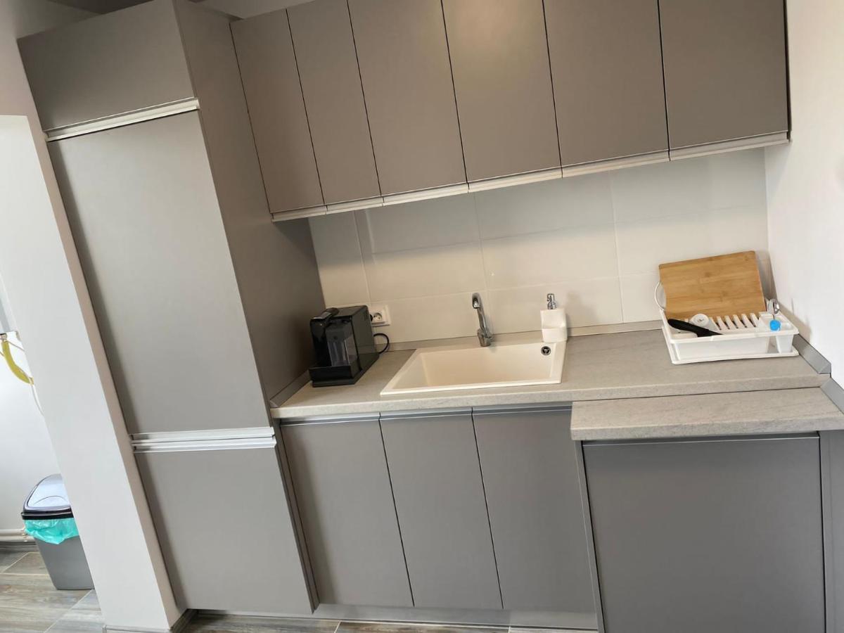 Alesandru Apartament Piteşti Exteriér fotografie