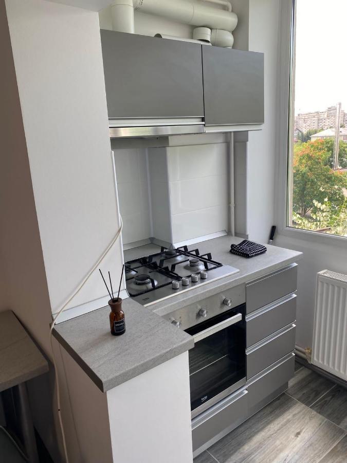 Alesandru Apartament Piteşti Exteriér fotografie