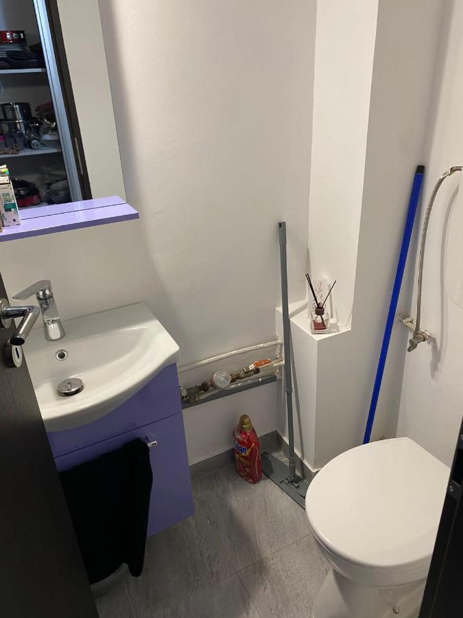 Alesandru Apartament Piteşti Exteriér fotografie
