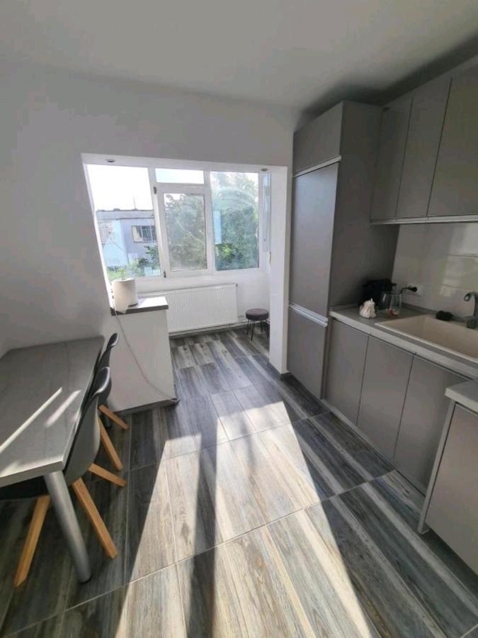 Alesandru Apartament Piteşti Exteriér fotografie