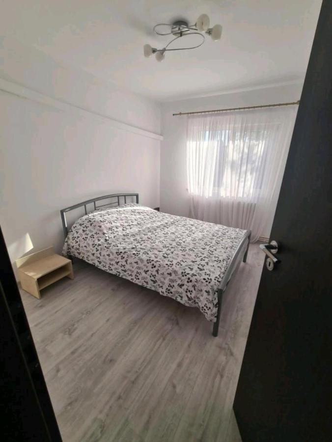Alesandru Apartament Piteşti Exteriér fotografie